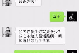 长宁企业清欠服务